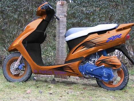 Honda Sfx  SOLGT..  billede 8