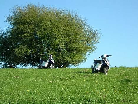 Aprilia      Sonic *2Twins* SOLGT - min t.v. billede 13