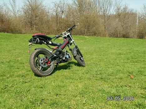 Sachs madass  billede 2