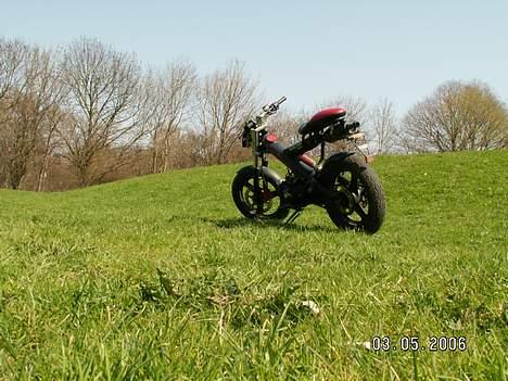 Sachs madass  billede 3