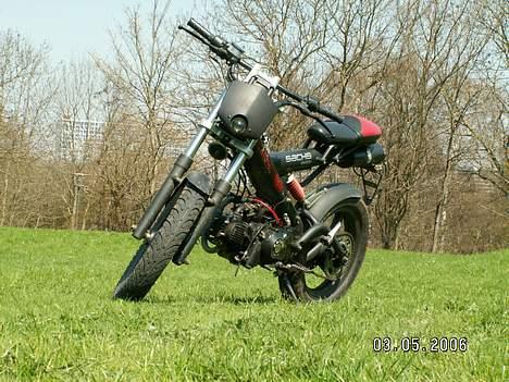 Sachs madass  billede 6