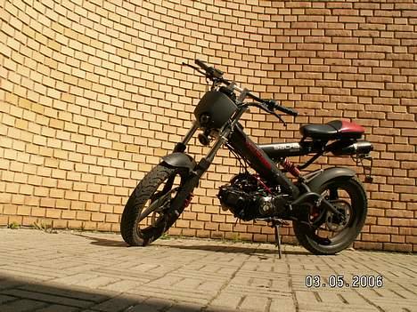 Sachs madass  billede 8