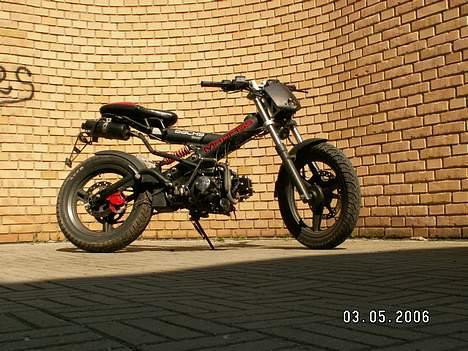 Sachs madass  billede 10