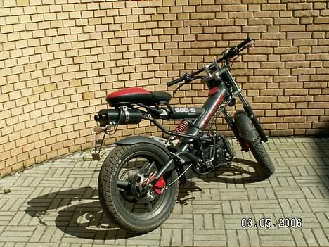 Sachs madass  billede 11