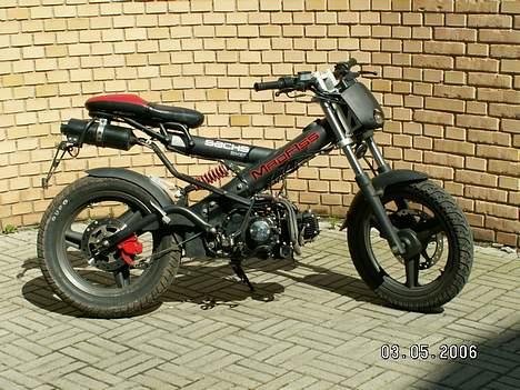 Sachs madass  billede 13