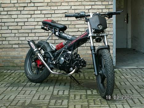 Sachs madass  billede 14