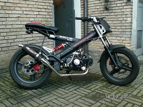 Sachs madass  billede 15