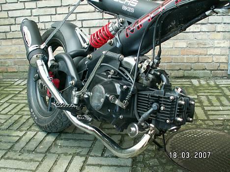 Sachs madass  billede 16