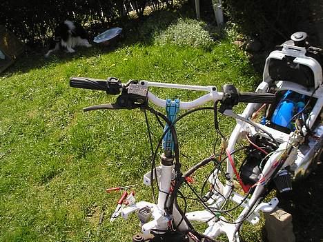 Yamaha Jog As Ac - Som Den står nu.. 10-maj-06... ledningsrod...  billede 8