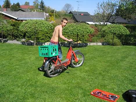 Vespa Ciao - mig og linda billede 4