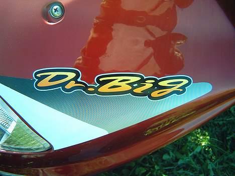 PGO dr. big billede 2