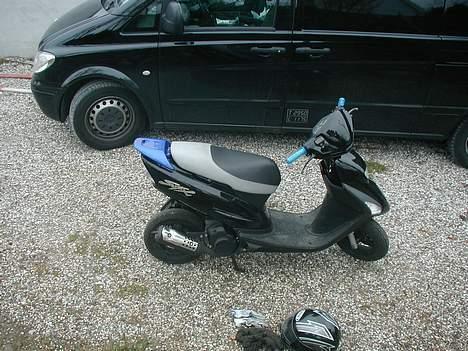 Honda SFX billede 8