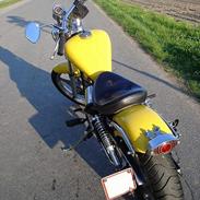 Kinroad custom 45 chopper