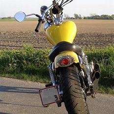 Kinroad custom 45 chopper