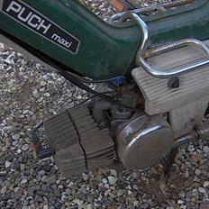 Puch maxi p