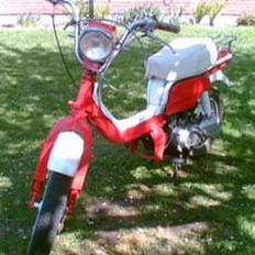 Suzuki FZ50 ...byttes? :)