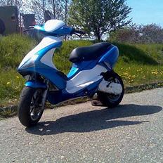 Benelli 491 ST SOLGT