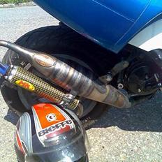 Benelli 491 ST SOLGT