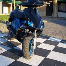 Benelli 491    | SOLGT |