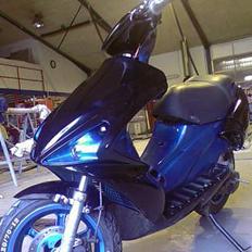 Benelli 491    | SOLGT |