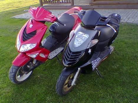 Aprilia Sonic "HEBO" <Til Salg> billede 14