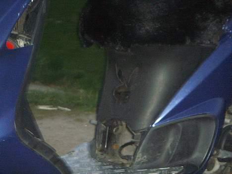 Piaggio Nrg Mc 3 Solgt - En Bette Play-boy Kanin Skal Gitter og Lys Bag ved billede 9