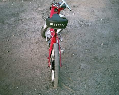 Puch Maxi K billede 5
