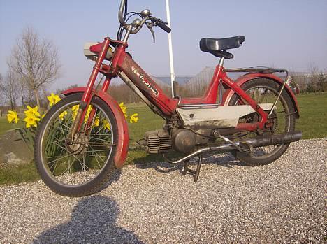 Puch maxi p e50  *projekt* billede 1