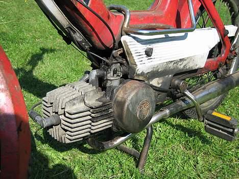 Puch maxi p e50  *projekt* billede 2