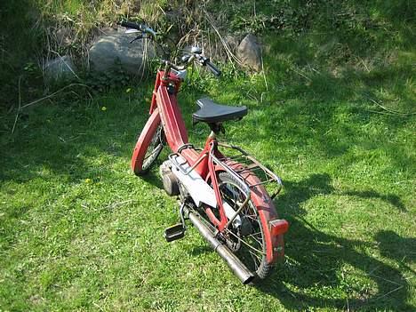 Puch maxi p e50  *projekt* billede 4