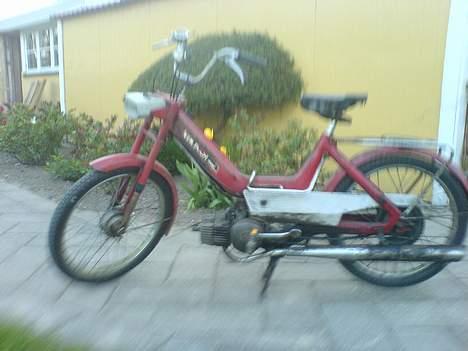 Puch maxi p e50  *projekt* billede 5