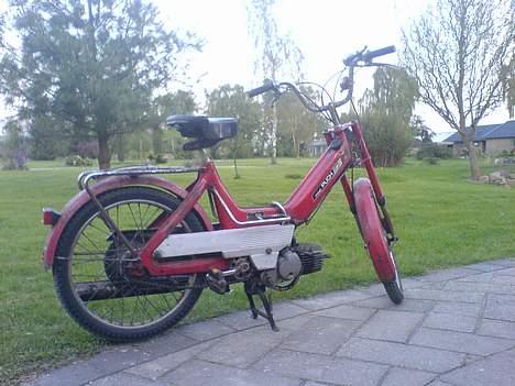 Puch maxi p e50  *projekt* billede 6