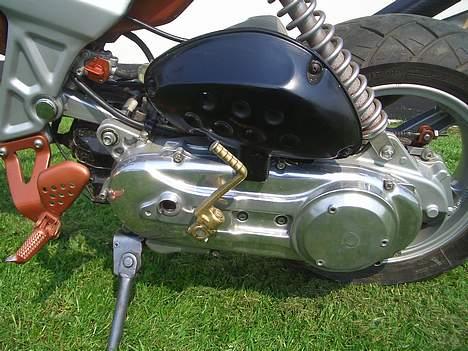 Suzuki Street Magic (Byttet) - Højglans !! BLING (Ældre billede) billede 6