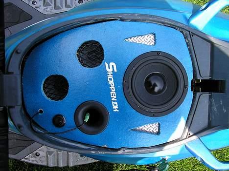 PGO Dr. Big (BAD ICE) - anlægget billede 13