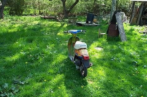 Honda Melody "Solgt" billede 2