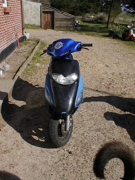 Honda SFX billede 7