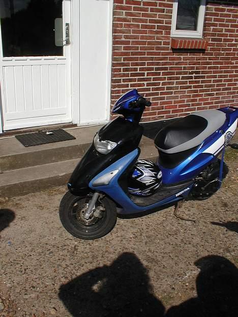 Honda SFX billede 10