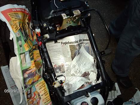 PGO PMX Sport - ved at male stellt. billede 5