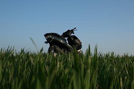 PGO Dr Big *Solgt* - Nye billeder fra d. 25 april 2007! billede 1