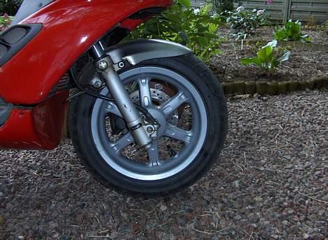 Benelli 491 Solgt billede 6