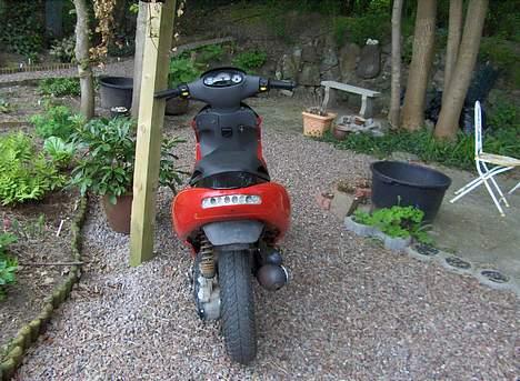 Benelli 491 Solgt billede 7