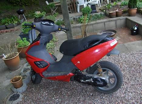 Benelli 491 Solgt billede 8