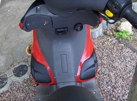 Benelli 491 Solgt billede 11