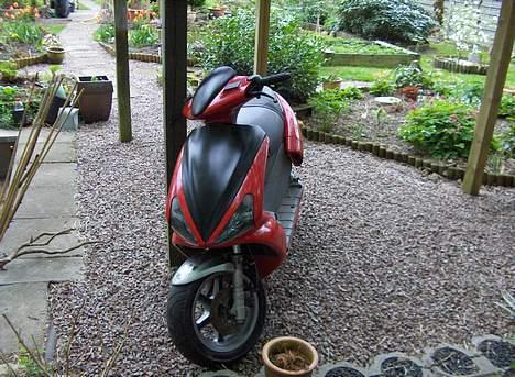 Benelli 491 Solgt billede 12