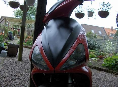 Benelli 491 Solgt billede 13