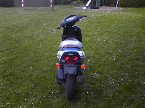 Honda sfx billede 3
