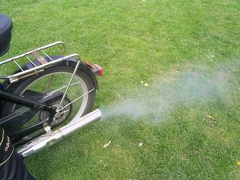 Puch Maxi *SOLGT* billede 4