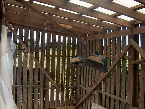 Suzuki DM-50 [Solgt] - Skjoldene inden de blev grundet billede 3