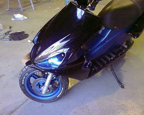 Benelli 491    | SOLGT | billede 9