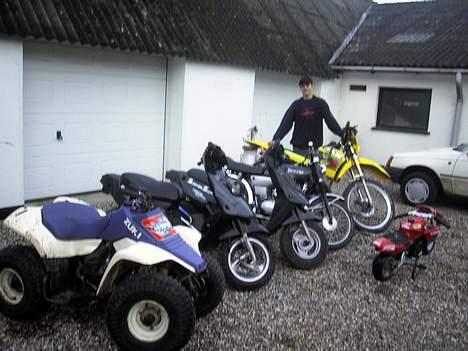 MiniBike POCKET RUNNER 02 Solgt. - Et billed af alle mine dejlige Knallerter Scooterne er solgt og Rmx malet og stylet.. billede 13